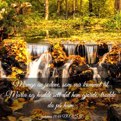 Picture 03 - Johannes 11:45 NORSK - Mange av jødene, som var kommet til Maria og - Bible Verse Picture