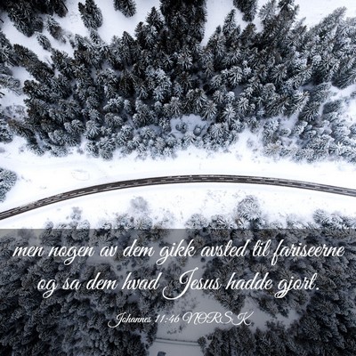 Picture 03 - Johannes 11:46 NORSK - men nogen av dem gikk avsted til fariseerne og sa - Bible Verse Picture