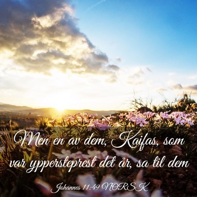 Picture 03 - Johannes 11:49 NORSK - Men en av dem, Kaifas, som var yppersteprest det - Bible Verse Picture