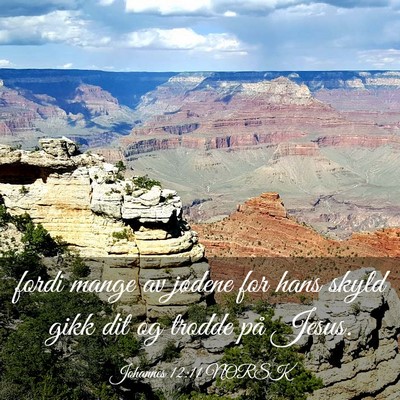 Picture 03 - Johannes 12:11 NORSK - fordi mange av jødene for hans skyld gikk dit og - Bible Verse Picture