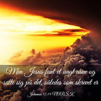 Picture 03 - Johannes 12:14 NORSK - Men Jesus fant et ungt asen og satte sig på det, - Bible Verse Picture