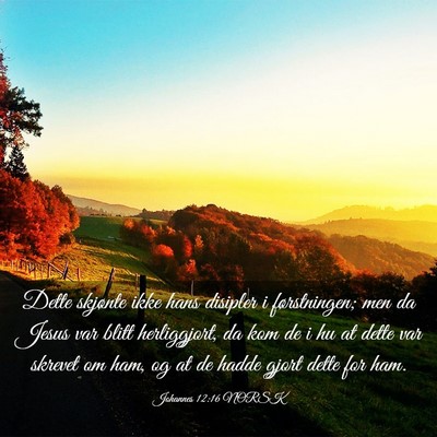 Picture 03 - Johannes 12:16 NORSK - Dette skjønte ikke hans disipler i førstningen; - Bible Verse Picture