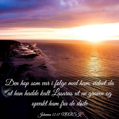 Picture 03 - Johannes 12:17 NORSK - Den hop som var i følge med ham, vidnet da at - Bible Verse Picture