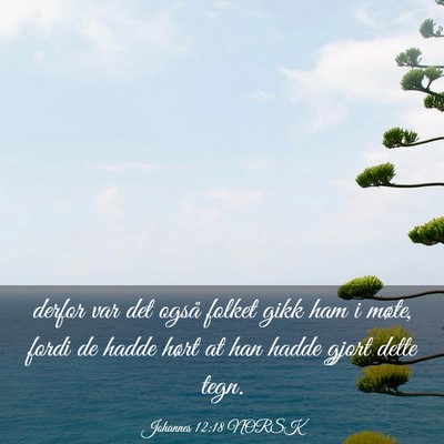 Picture 03 - Johannes 12:18 NORSK - derfor var det også folket gikk ham i møte, - Bible Verse Picture