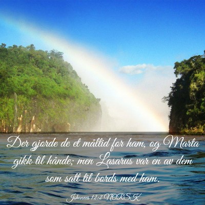 Picture 03 - Johannes 12:2 NORSK - Der gjorde de et måltid for ham, og Marta gikk - Bible Verse Picture