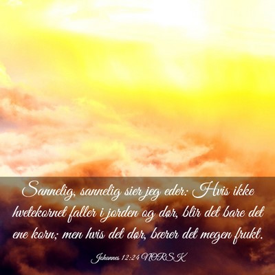 Picture 03 - Johannes 12:24 NORSK - Sannelig, sannelig sier jeg eder: Hvis ikke - Bible Verse Picture