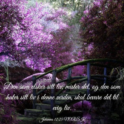 Picture 03 - Johannes 12:25 NORSK - Den som elsker sitt liv, mister det, og den som - Bible Verse Picture