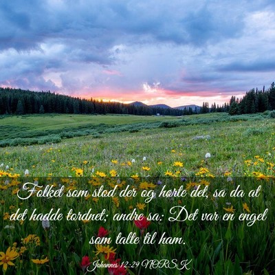 Picture 03 - Johannes 12:29 NORSK - Folket som stod der og hørte det, sa da at det - Bible Verse Picture
