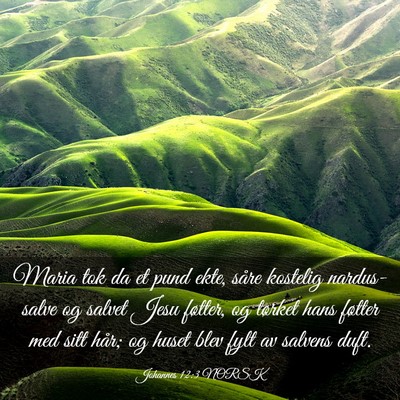 Picture 03 - Johannes 12:3 NORSK - Maria tok da et pund ekte, såre kostelig - Bible Verse Picture