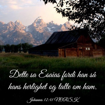 Picture 03 - Johannes 12:41 NORSK - Dette sa Esaias fordi han så hans herlighet og - Bible Verse Picture
