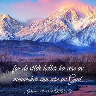Picture 03 - Johannes 12:43 NORSK - for de vilde heller ha ære av mennesker enn ære - Bible Verse Picture
