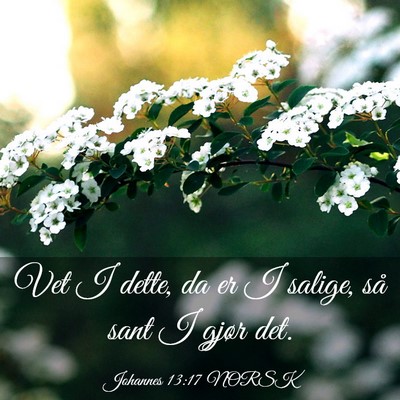 Picture 03 - Johannes 13:17 NORSK - Vet I dette, da er I salige, så sant I gjør - Bible Verse Picture