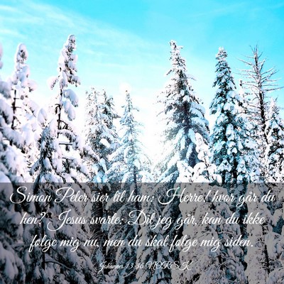 Picture 03 - Johannes 13:36 NORSK - Simon Peter sier til ham: Herre! hvor går du - Bible Verse Picture