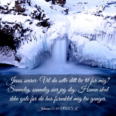 Picture 03 - Johannes 13:38 NORSK - Jesus svarer: Vil du sette ditt liv til for mig? - Bible Verse Picture