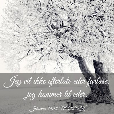 Picture 03 - Johannes 14:18 NORSK - Jeg vil ikke efterlate eder farløse; jeg kommer - Bible Verse Picture