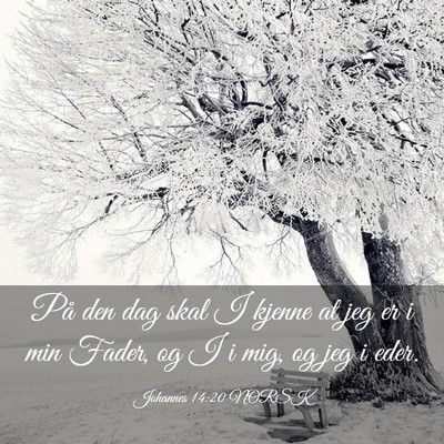 Picture 03 - Johannes 14:20 NORSK - På den dag skal I kjenne at jeg er i min Fader, - Bible Verse Picture