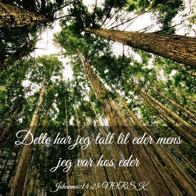 Picture 03 - Johannes 14:25 NORSK - Dette har jeg talt til eder mens jeg var hos - Bible Verse Picture