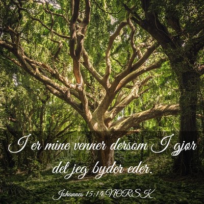 Picture 03 - Johannes 15:14 NORSK - I er mine venner dersom I gjør det jeg byder - Bible Verse Picture