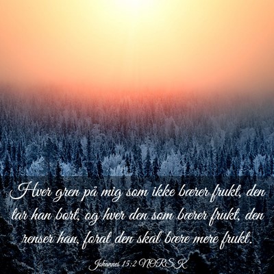 Picture 03 - Johannes 15:2 NORSK - Hver gren på mig som ikke bærer frukt, den tar - Bible Verse Picture