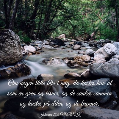 Picture 03 - Johannes 15:6 NORSK - Om nogen ikke blir i mig, da kastes han ut som en - Bible Verse Picture