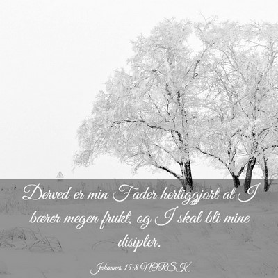 Picture 03 - Johannes 15:8 NORSK - Derved er min Fader herliggjort at I bærer megen - Bible Verse Picture