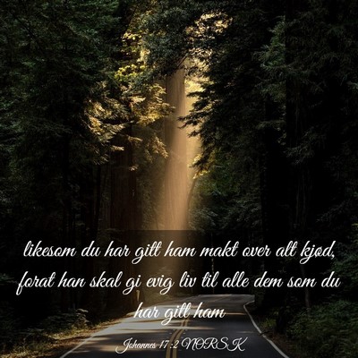 Picture 03 - Johannes 17:2 NORSK - likesom du har gitt ham makt over alt kjød, - Bible Verse Picture