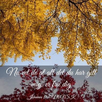 Picture 03 - Johannes 17:7 NORSK - Nu vet de at alt det du har gitt mig, er fra - Bible Verse Picture