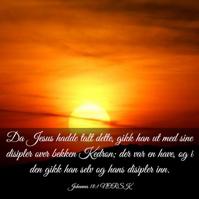 Picture 03 - Johannes 18:1 NORSK - Da Jesus hadde talt dette, gikk han ut med sine - Bible Verse Picture