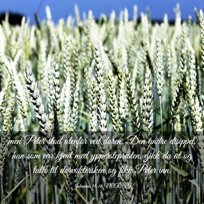 Picture 03 - Johannes 18:16 NORSK - men Peter stod utenfor ved døren. Den andre - Bible Verse Picture