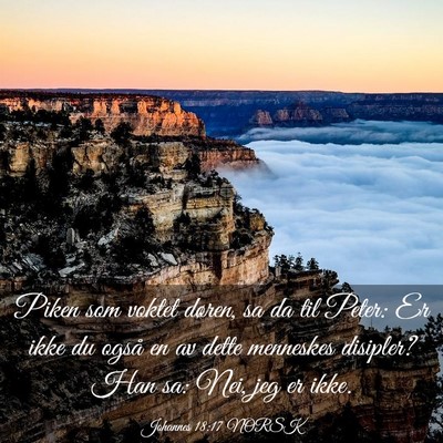 Picture 03 - Johannes 18:17 NORSK - Piken som voktet døren, sa da til Peter: Er ikke - Bible Verse Picture