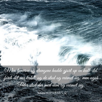 Picture 03 - Johannes 18:18 NORSK - Men tjenerne og drengene hadde gjort op en - Bible Verse Picture