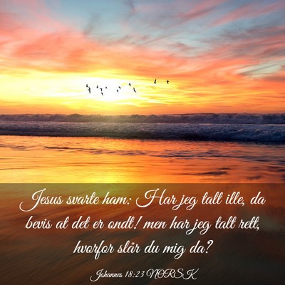 Picture 03 - Johannes 18:23 NORSK - Jesus svarte ham: Har jeg talt ille, da bevis at - Bible Verse Picture