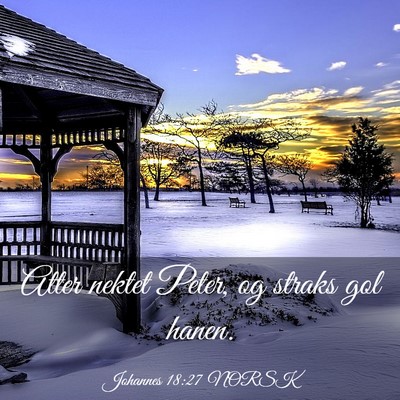 Picture 03 - Johannes 18:27 NORSK - Atter nektet Peter, og straks gol - Bible Verse Picture