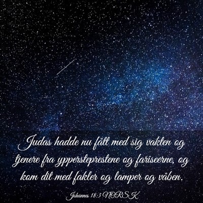 Picture 03 - Johannes 18:3 NORSK - Judas hadde nu fått med sig vakten og tjenere - Bible Verse Picture