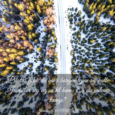 Picture 03 - Johannes 18:33 NORSK - Pilatus gikk da inn i borgen igjen og kalte Jesus - Bible Verse Picture