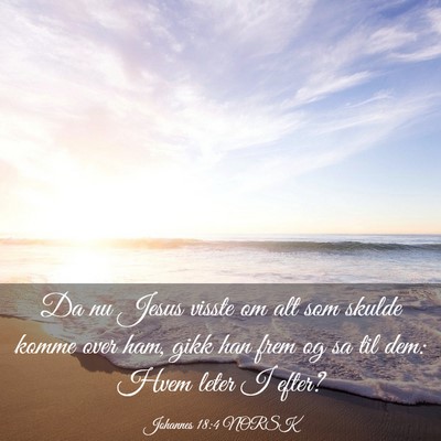 Picture 03 - Johannes 18:4 NORSK - Da nu Jesus visste om alt som skulde komme over - Bible Verse Picture