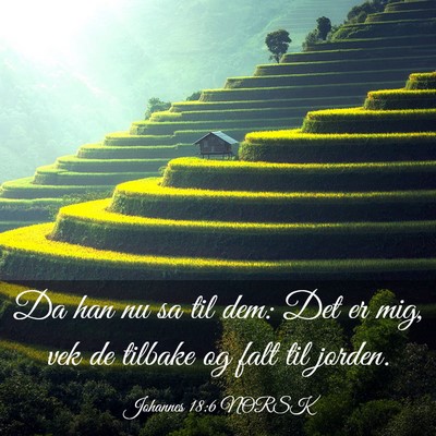 Picture 03 - Johannes 18:6 NORSK - Da han nu sa til dem: Det er mig, vek de tilbake - Bible Verse Picture