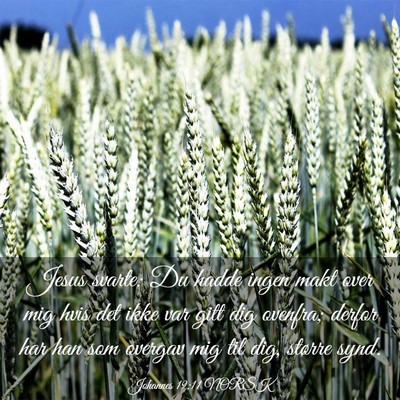 Picture 03 - Johannes 19:11 NORSK - Jesus svarte: Du hadde ingen makt over mig hvis - Bible Verse Picture