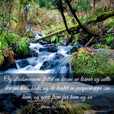 Picture 03 - Johannes 19:2 NORSK - Og stridsmennene flettet en krone av torner og - Bible Verse Picture