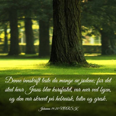 Picture 03 - Johannes 19:20 NORSK - Denne innskrift leste da mange av jødene; for - Bible Verse Picture