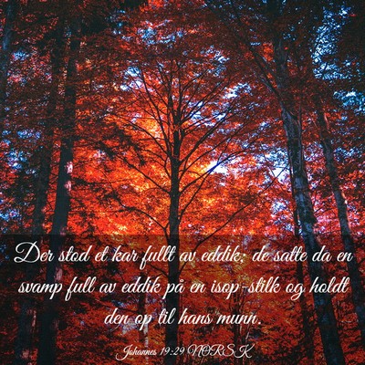 Picture 03 - Johannes 19:29 NORSK - Der stod et kar fullt av eddik; de satte da en - Bible Verse Picture
