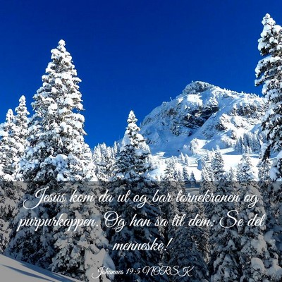 Picture 03 - Johannes 19:5 NORSK - Jesus kom da ut og bar tornekronen og - Bible Verse Picture