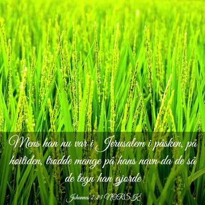 Picture 03 - Johannes 2:23 NORSK - Mens han nu var i Jerusalem i påsken, på - Bible Verse Picture