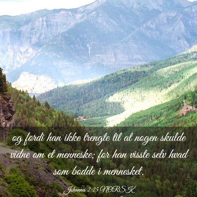Picture 03 - Johannes 2:25 NORSK - og fordi han ikke trengte til at nogen skulde - Bible Verse Picture