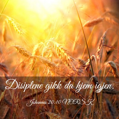 Picture 03 - Johannes 20:10 NORSK - Disiplene gikk da hjem - Bible Verse Picture