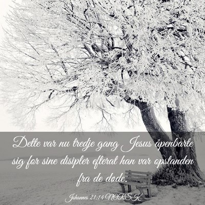Picture 03 - Johannes 21:14 NORSK - Dette var nu tredje gang Jesus åpenbarte sig for - Bible Verse Picture