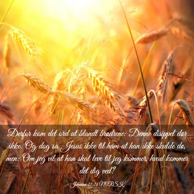 Picture 03 - Johannes 21:23 NORSK - Derfor kom det ord ut blandt brødrene: Denne - Bible Verse Picture