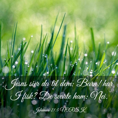 Picture 03 - Johannes 21:5 NORSK - Jesus sier da til dem: Barn! har I fisk? De - Bible Verse Picture