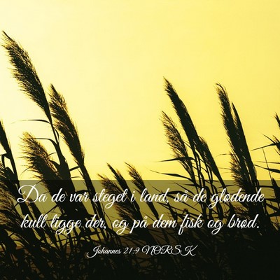 Picture 03 - Johannes 21:9 NORSK - Da de var steget i land, så de glødende kull - Bible Verse Picture