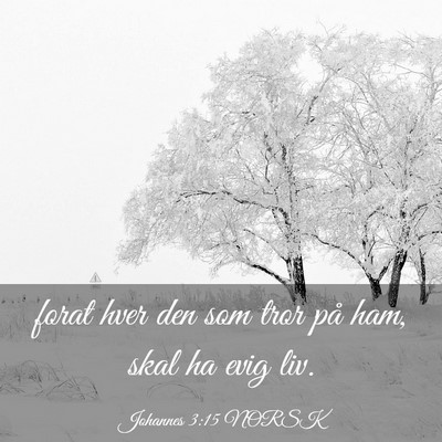 Picture 03 - Johannes 3:15 NORSK - forat hver den som tror på ham, skal ha evig - Bible Verse Picture